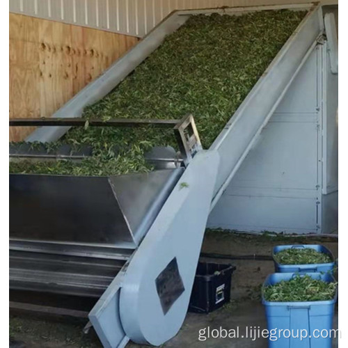 Belt Dryer For Cassava Chips Herb Hemp Drying Machine Manufactory